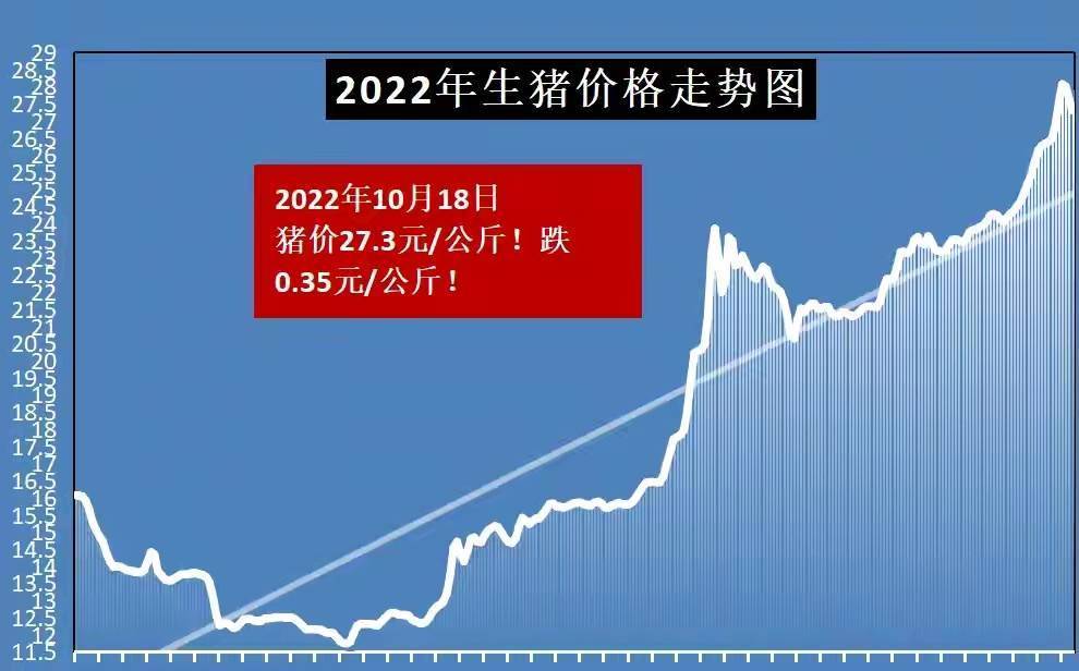 最新猪价走势解析与预测