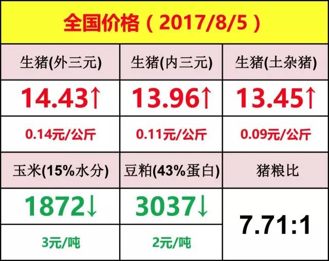 最新生猪价格走势动态分析